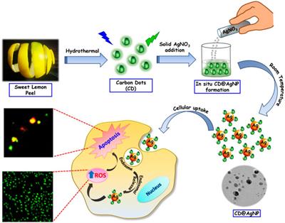 An insight into recent developments of copper, silver and gold carbon dots: cancer diagnostics and treatment